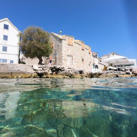 Apartment Vesna Primošten Dış mekan fotoğraf