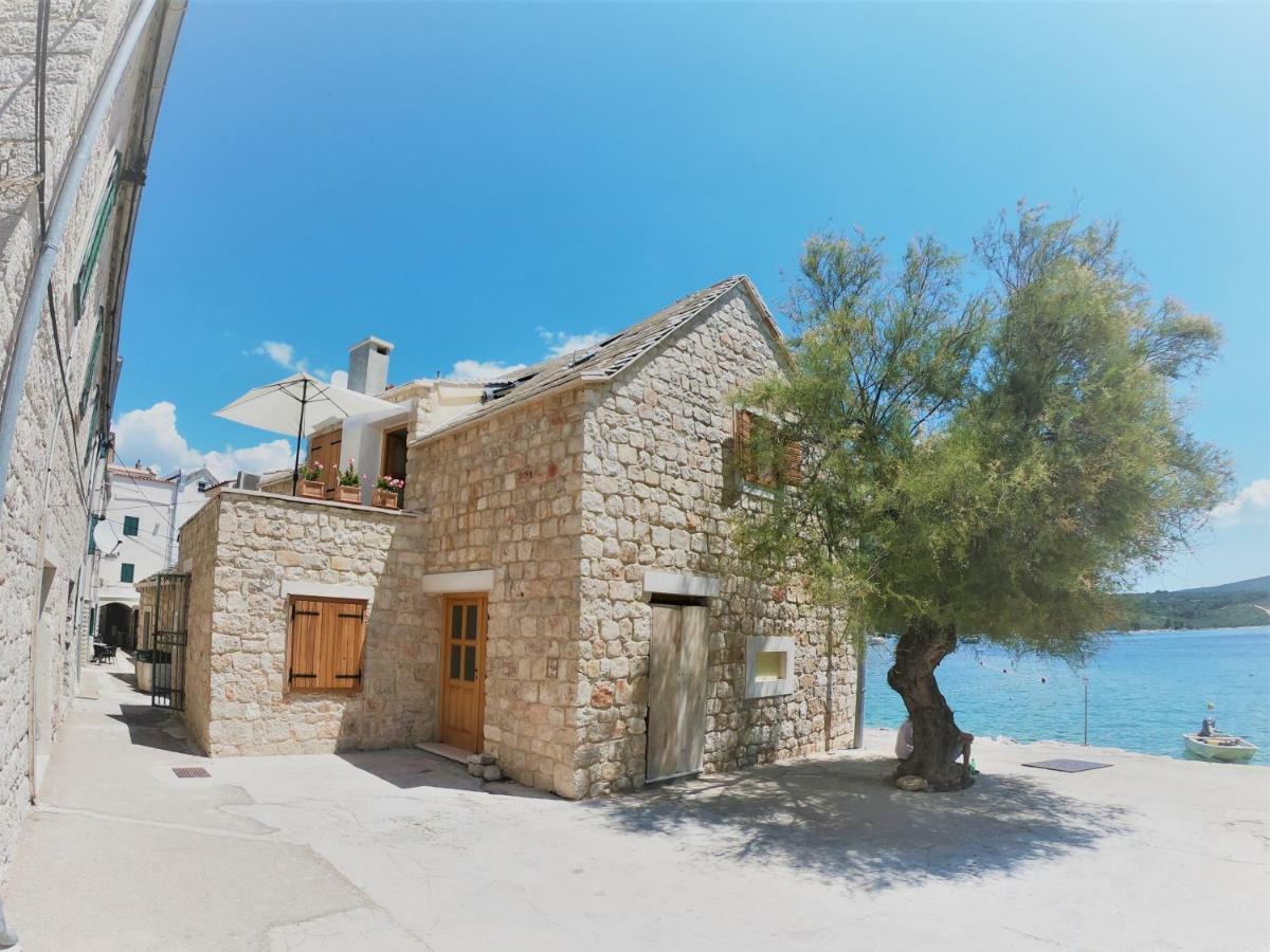 Apartment Vesna Primošten Dış mekan fotoğraf